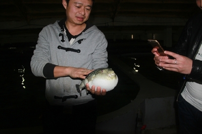 大連啟航“海魚陸?zhàn)B”保險(xiǎn)，海水養(yǎng)殖技術(shù)研發(fā)迎來(lái)新機(jī)遇